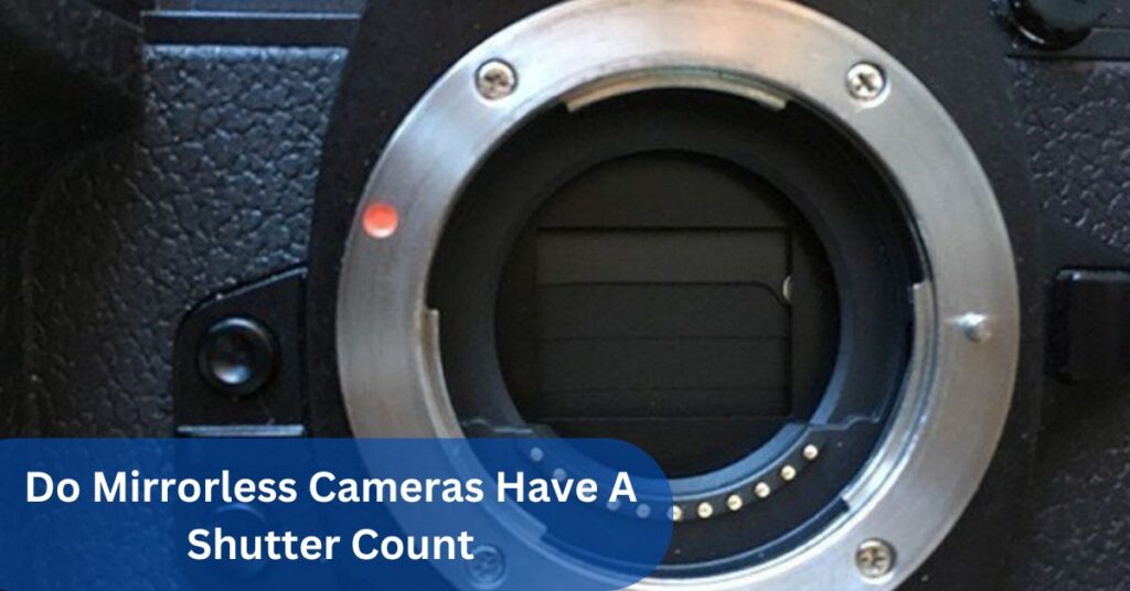 Do Mirrorless Cameras Have A Shutter Count