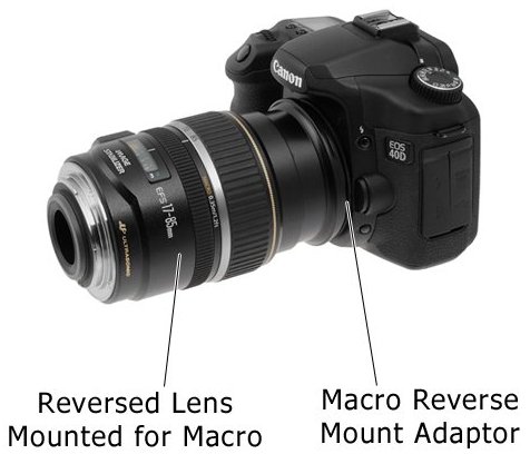 Features to Look for in a Bug-Resistant Camera