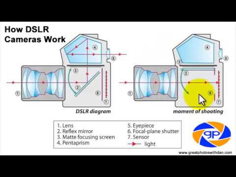 How Does a Shutter Work in DSLR Cameras