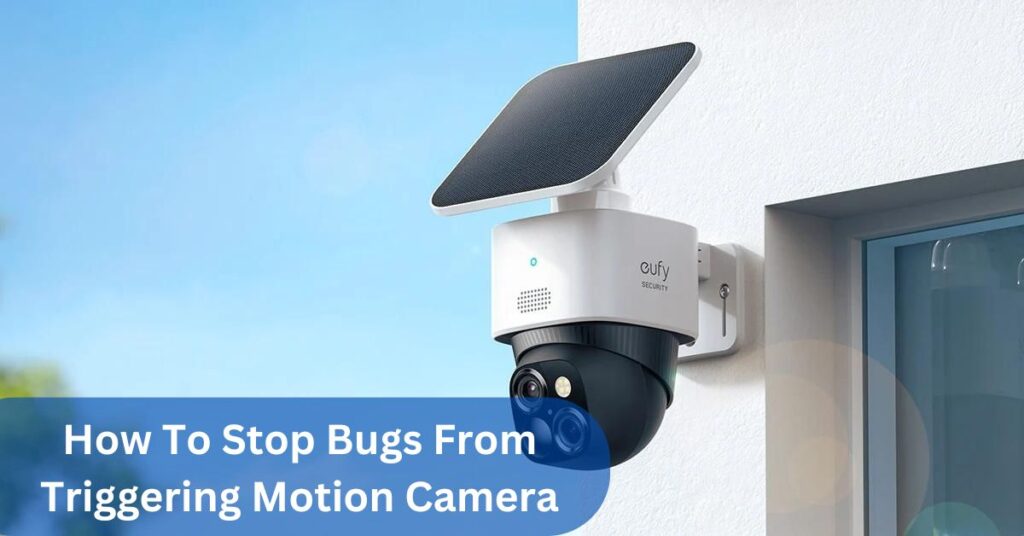 How To Stop Bugs From Triggering Motion Camera