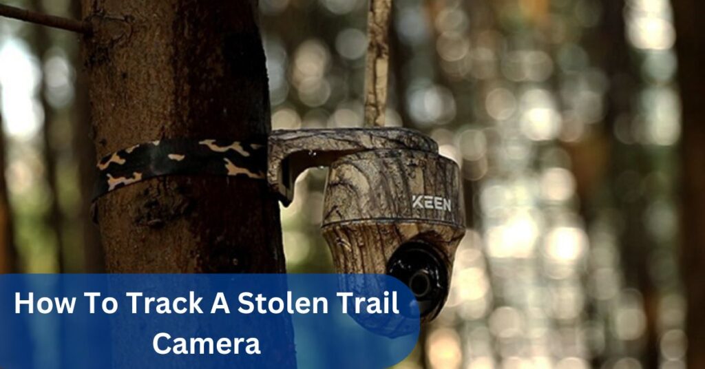 How To Track A Stolen Trail Camera