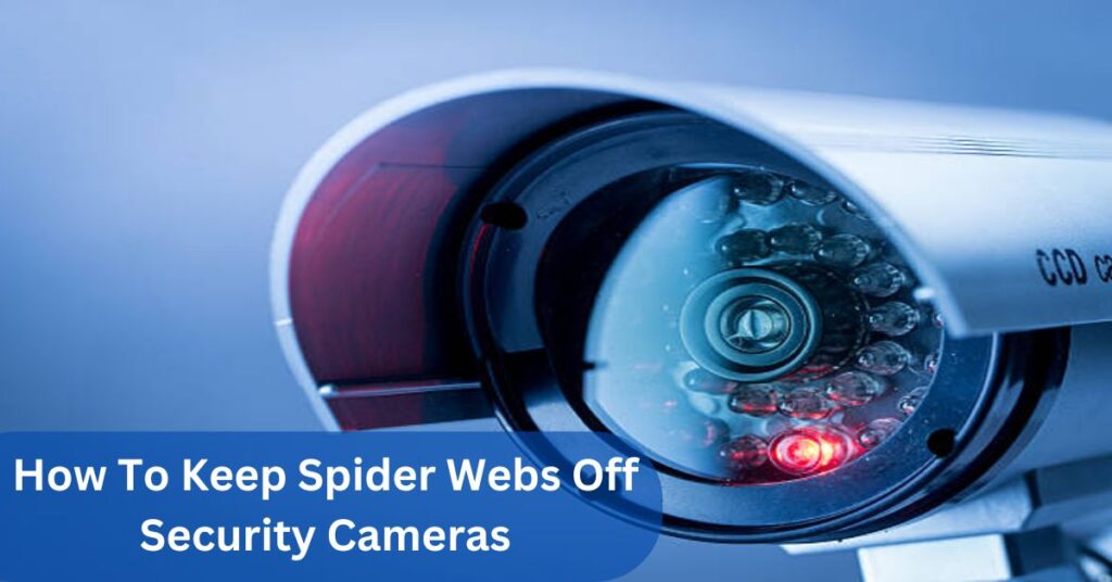 How To Keep Spider Webs Off Security Cameras