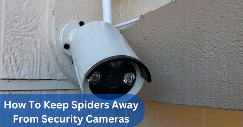 How To Keep Spiders Away From Security Cameras