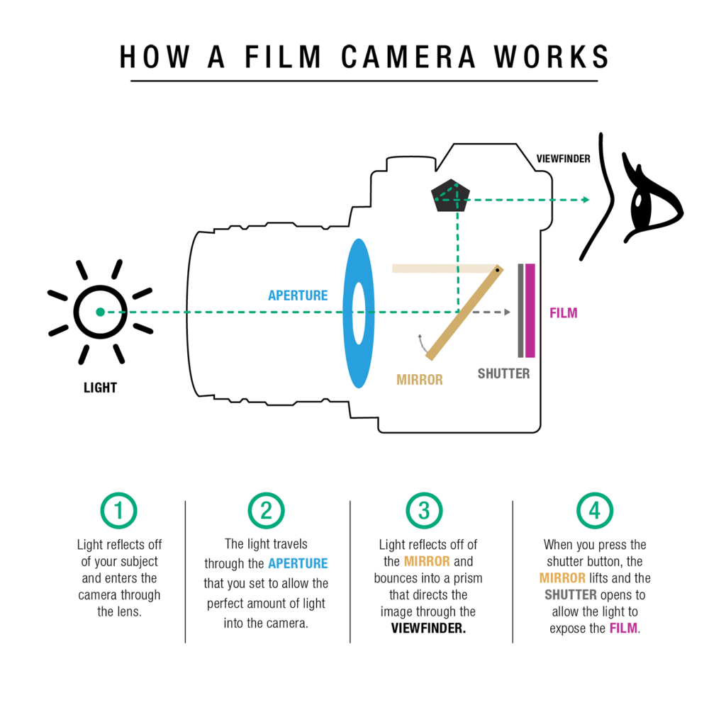 How do film cameras work