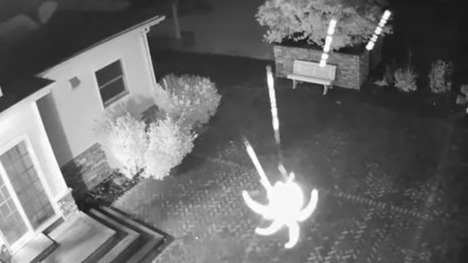 Spider on night vision camera