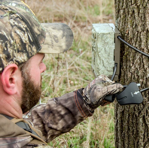 Benefits of Using Trail Cameras on Public Land: